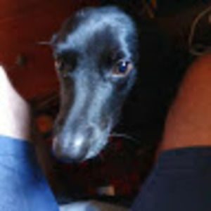 Meet your Posher, Gina